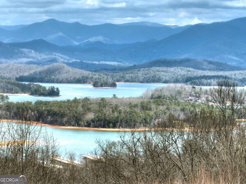 756 Mining Gap Con Young Harris, GA 30582 - Photo 2 of 47
