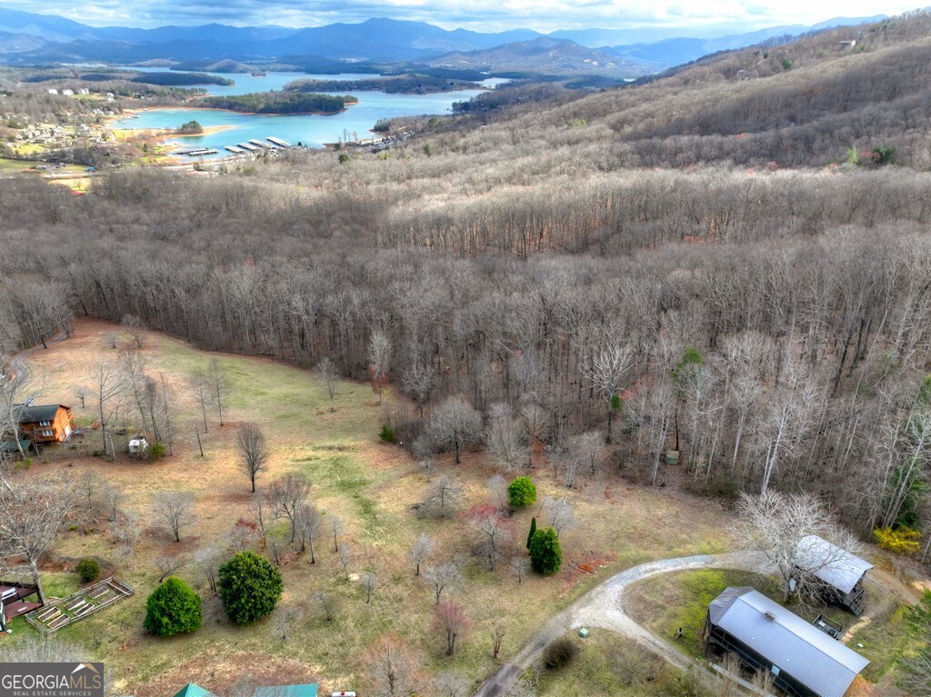 756 Mining Gap Con Young Harris, GA 30582 - Photo 4 of 47