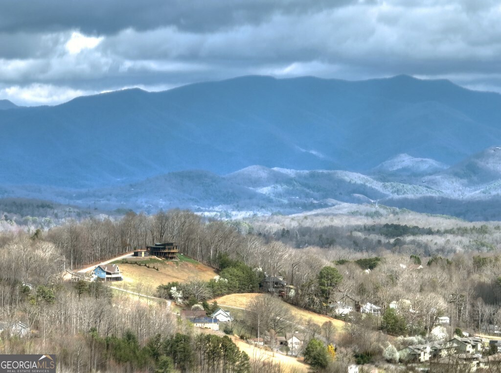756 Mining Gap Con Young Harris, GA 30582 - Photo 45 of 47