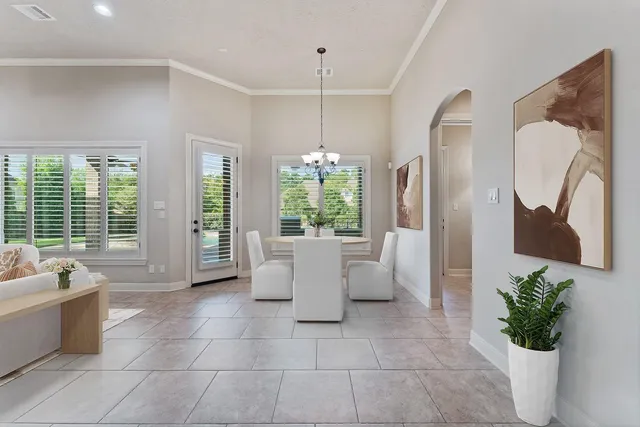 a living room with couches and potted plant