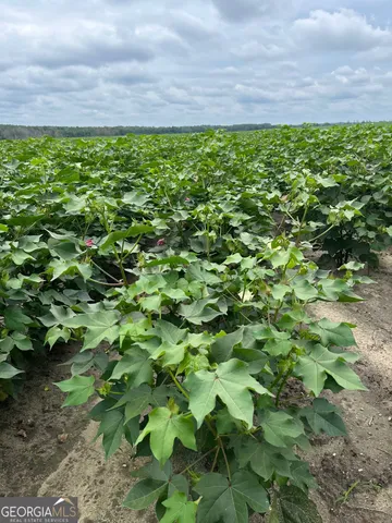 $1,835,000 | 0 Hwy 257 Chester Ga 31012, Chester, GA 31012