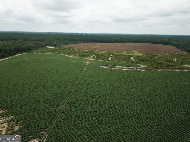 $1,835,000 | 0 Hwy 257 Chester Ga 31012, Chester, GA 31012