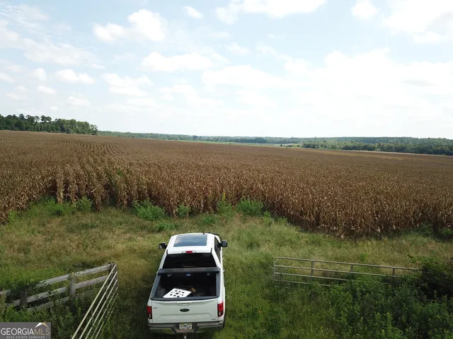 $1,835,000 | 0 Hwy 257 Chester Ga 31012, Chester, GA 31012