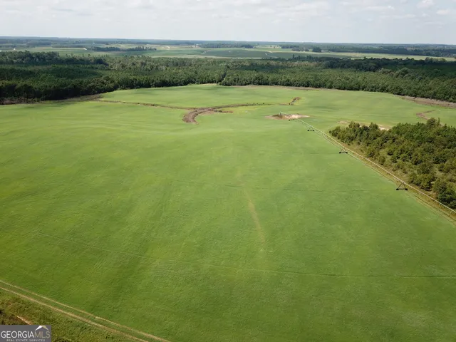 $1,835,000 | 0 Hwy 257 Chester Ga 31012, Chester, GA 31012