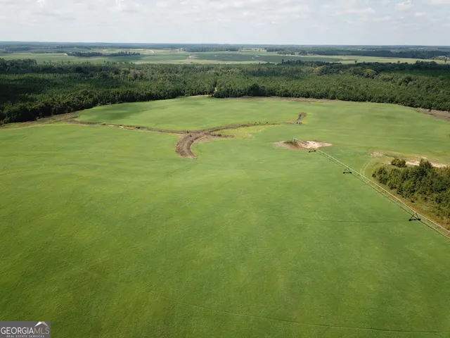 $1,835,000 | 0 Hwy 257 Chester Ga 31012, Chester, GA 31012