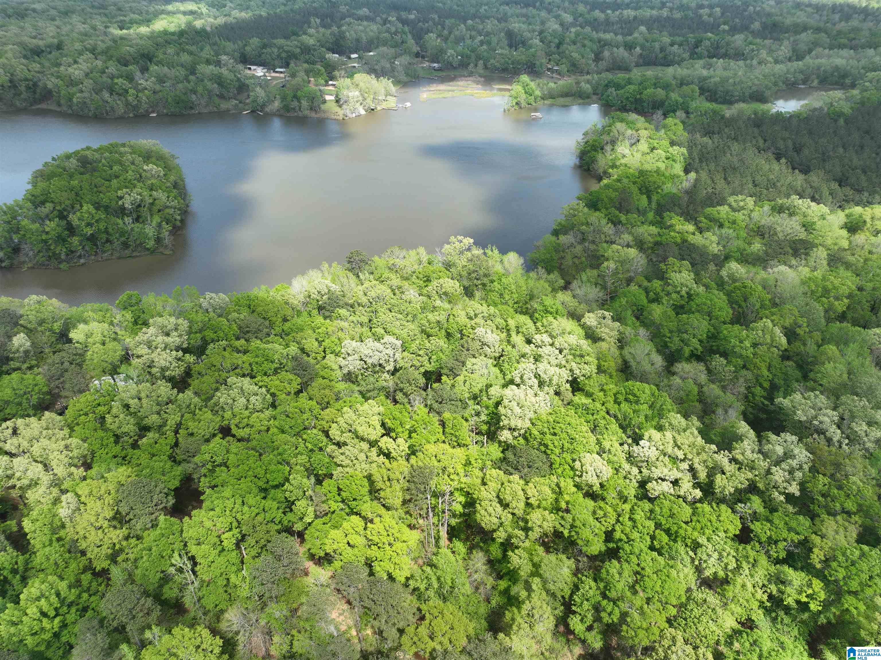 0 County Road 225, Unit 1 Minter, AL 36761 - Photo 7 of 9