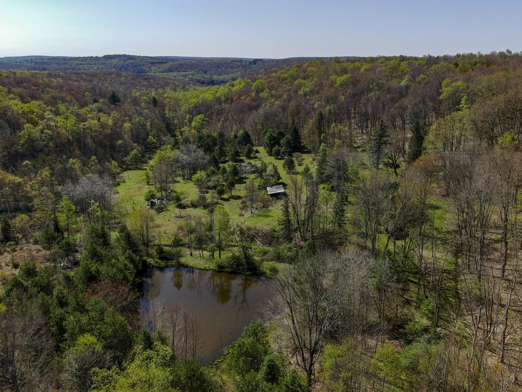 793 West Joseph Road St. Marys, PA 15857 - Photo 4 of 40