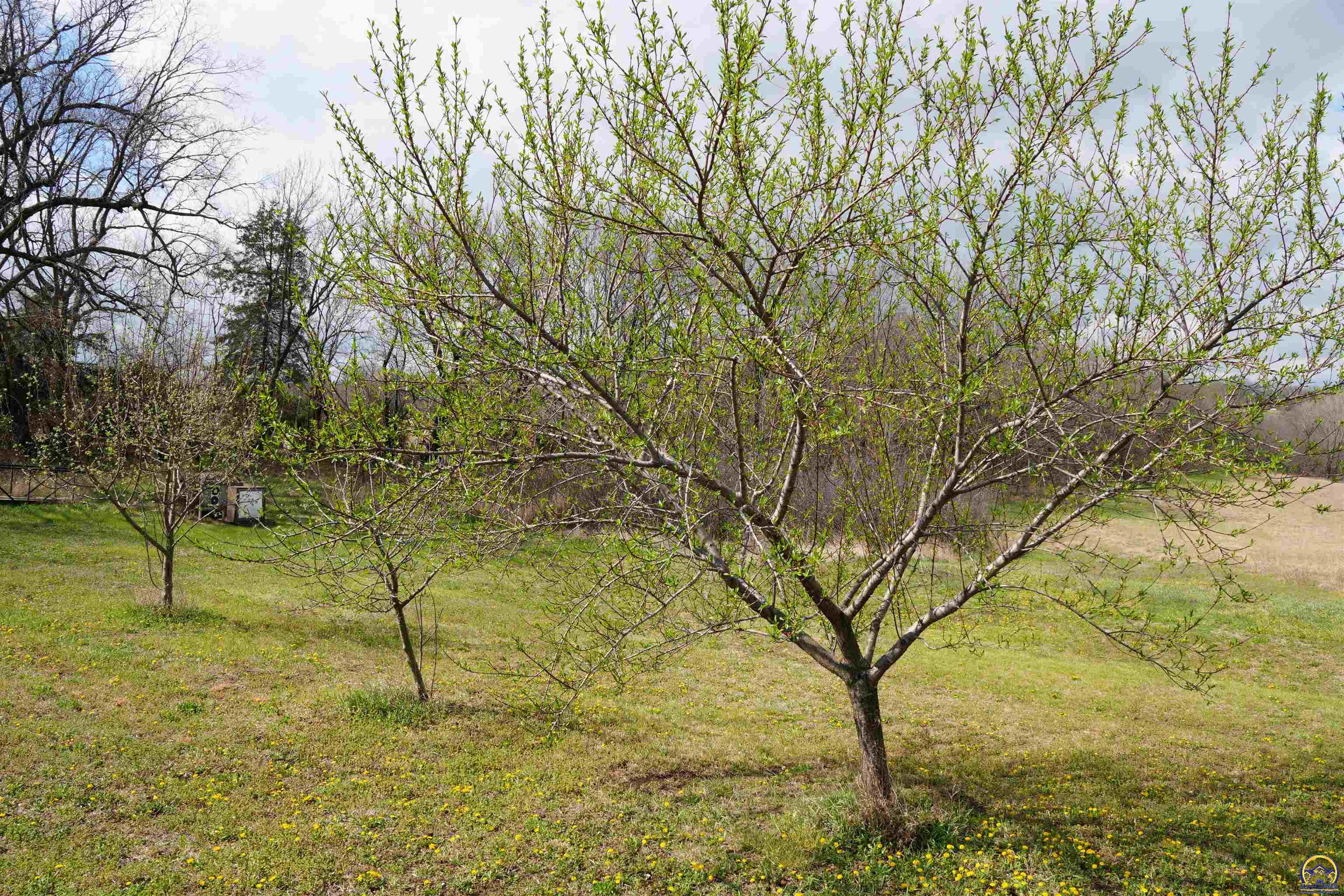 24298 M Road, Unit 24298 Holton, KS 66436 - Photo 57 of 97