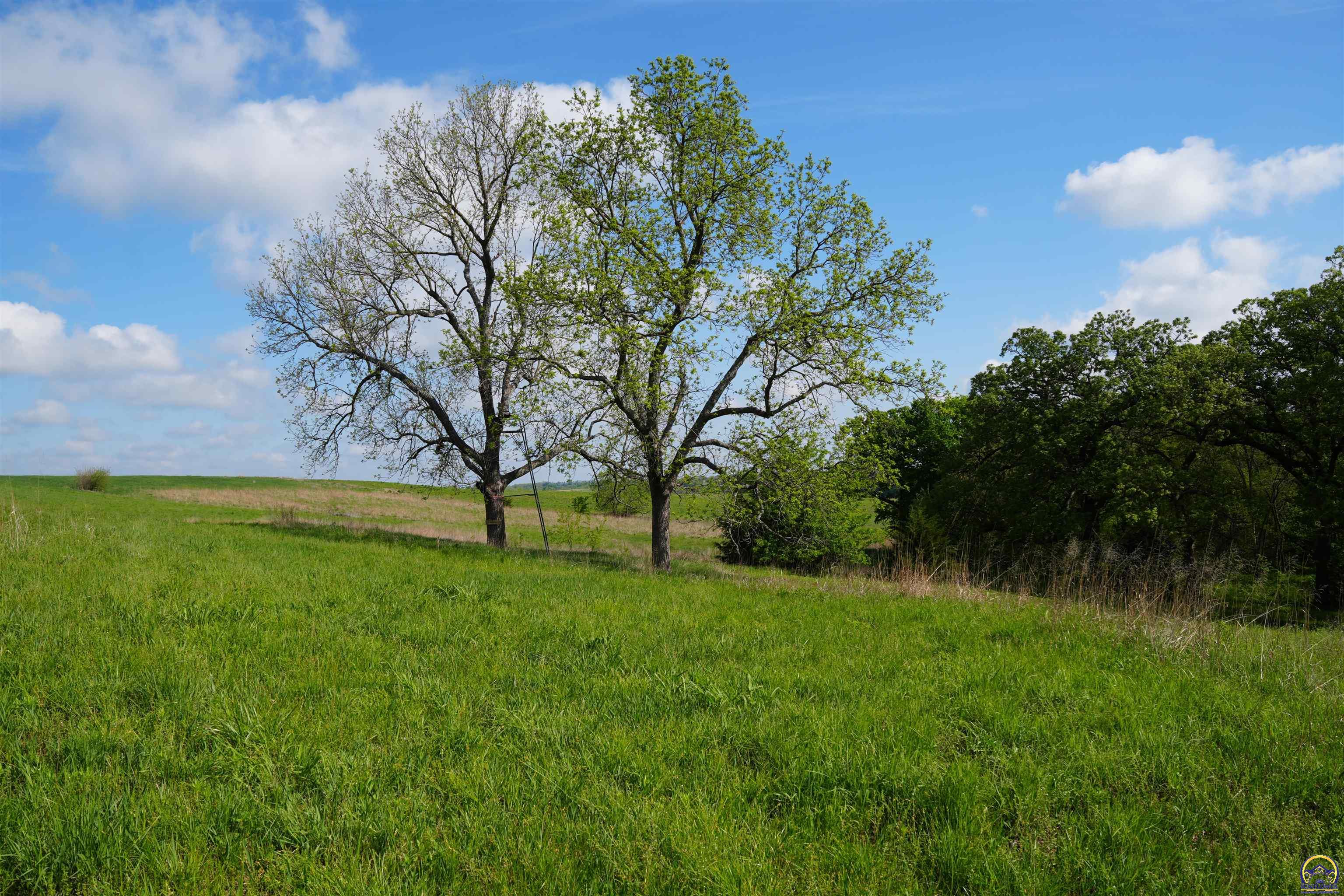 24298 M Road, Unit 24298 Holton, KS 66436 - Photo 72 of 98
