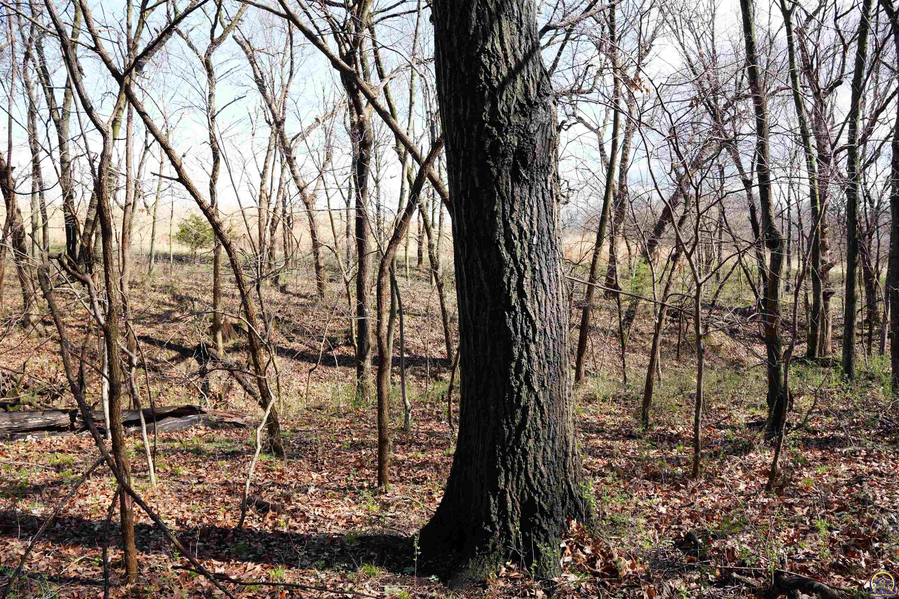 24298 M Road, Unit 24298 Holton, KS 66436 - Photo 92 of 97