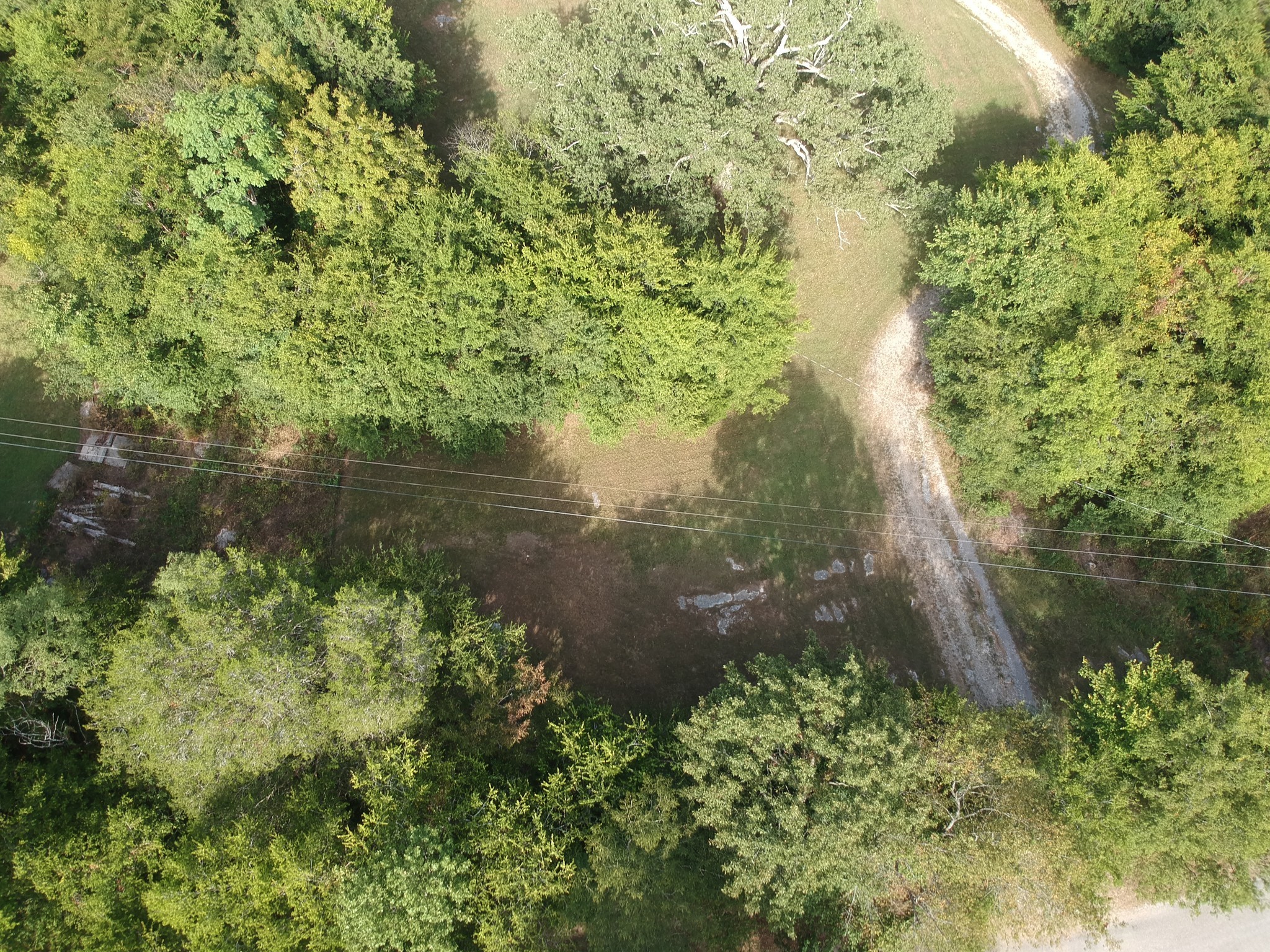 225 Opossum Hollow Road Watertown, TN 37184 - Photo 6 of 29 a view of a garden with a lake