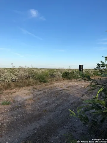a view of an outdoor space with large trees