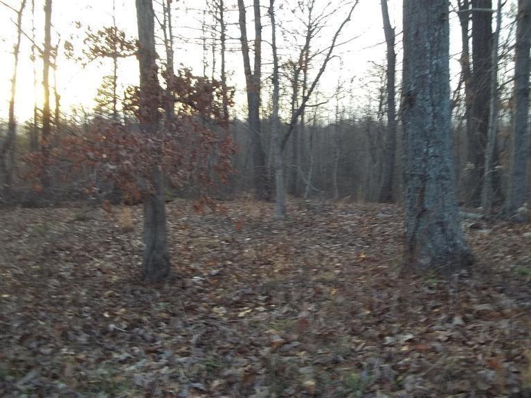 2017 Hawk Creek Road London, KY 40741 - Photo 2 of 2 Photo 2