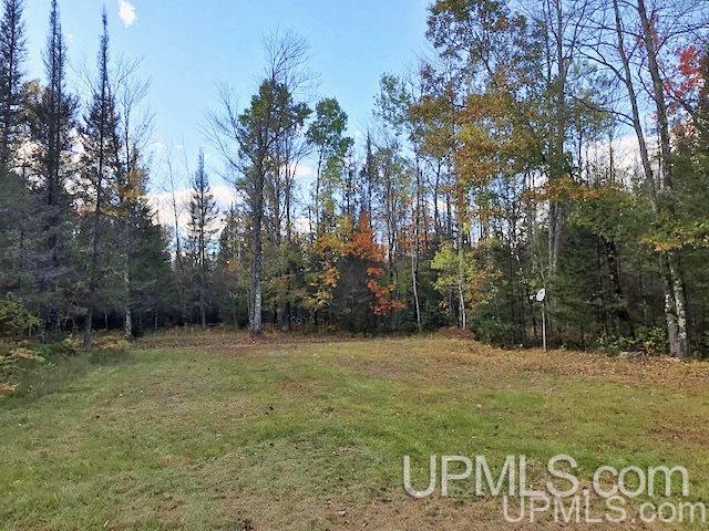 T-wi Weckerle Road Pembine, WI 54156 - Photo 24 of 36