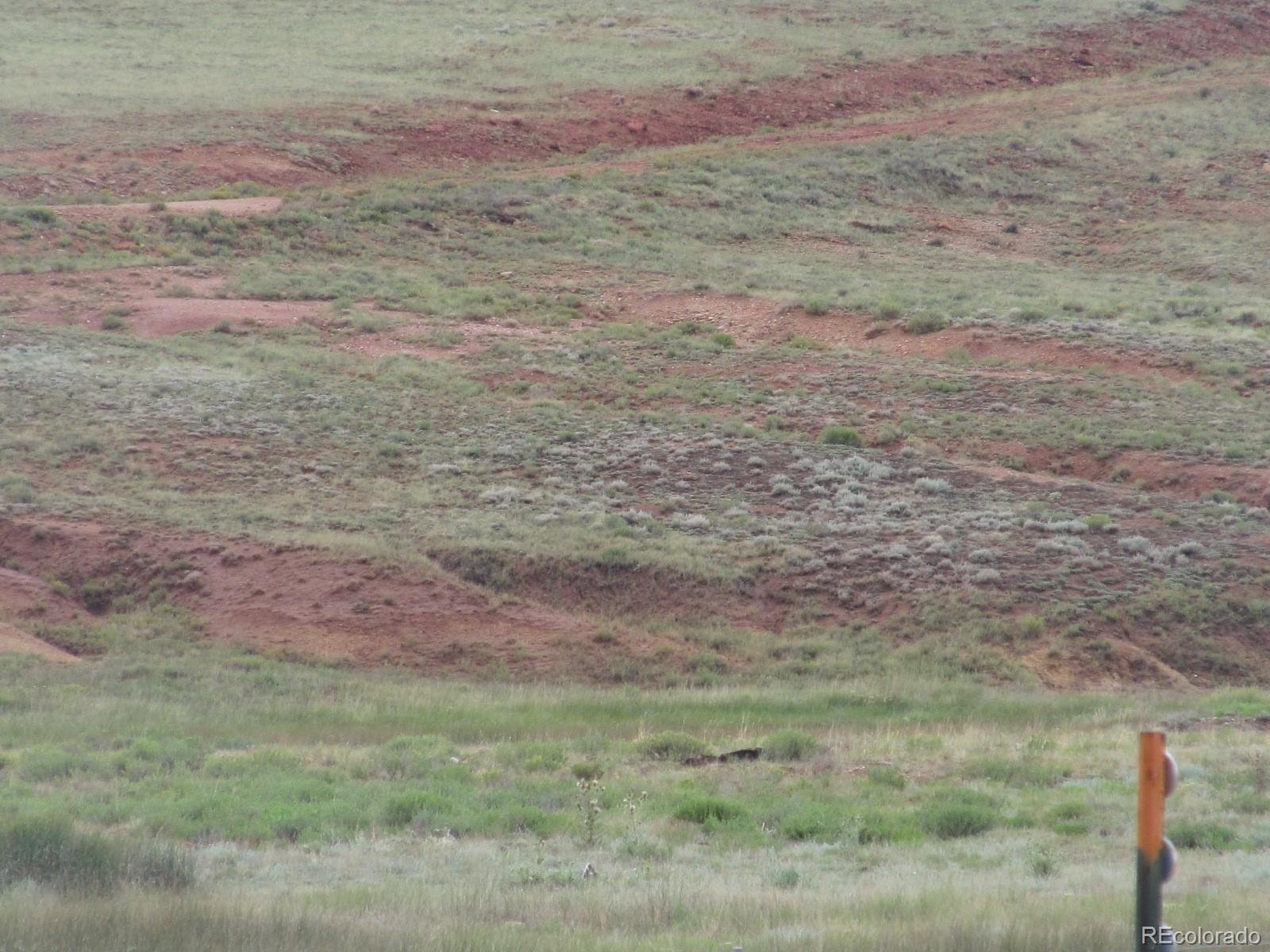 1930 Moffat Road Hartsel, CO 80449 - Photo 6 of 6 a view of a dry yard