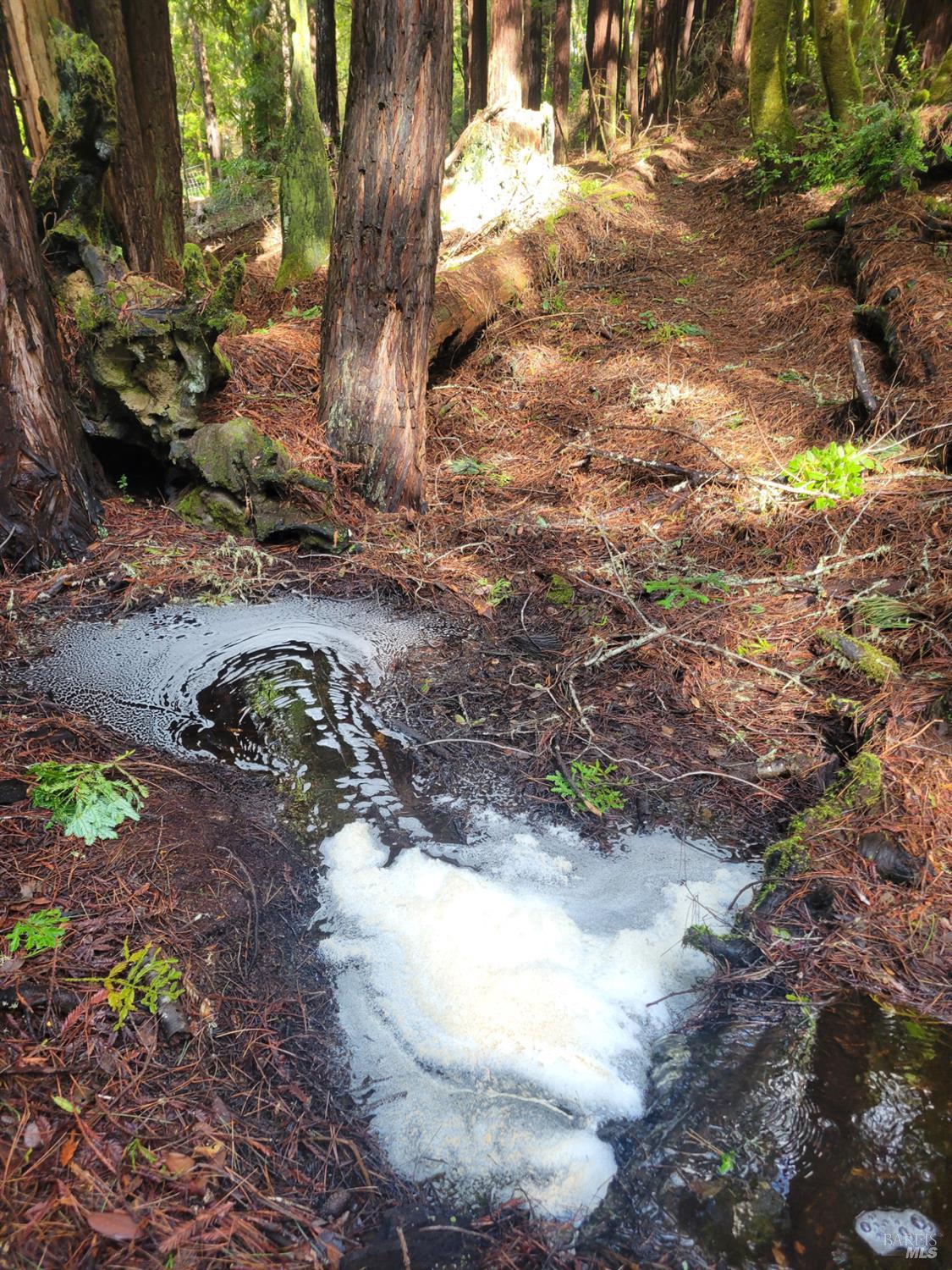 40440 Garcia River Road Point Arena, CA 95468 - Photo 41 of 49 This picture was taken during the winter and shows seasonal creeks that flow through the back of the property.
