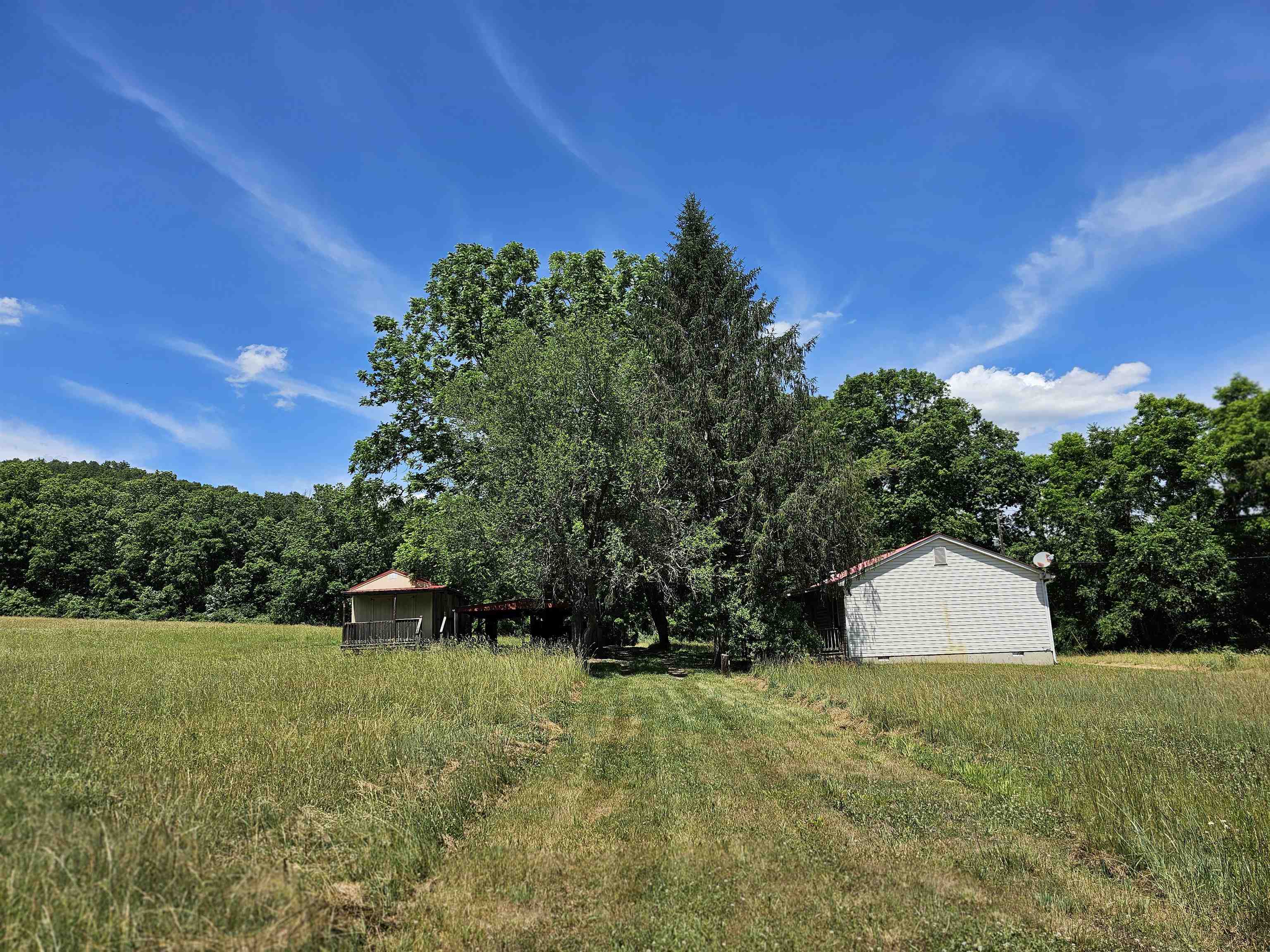 2105 Coles Mountain Road Covington, VA 24426 - Photo 7 of 66
