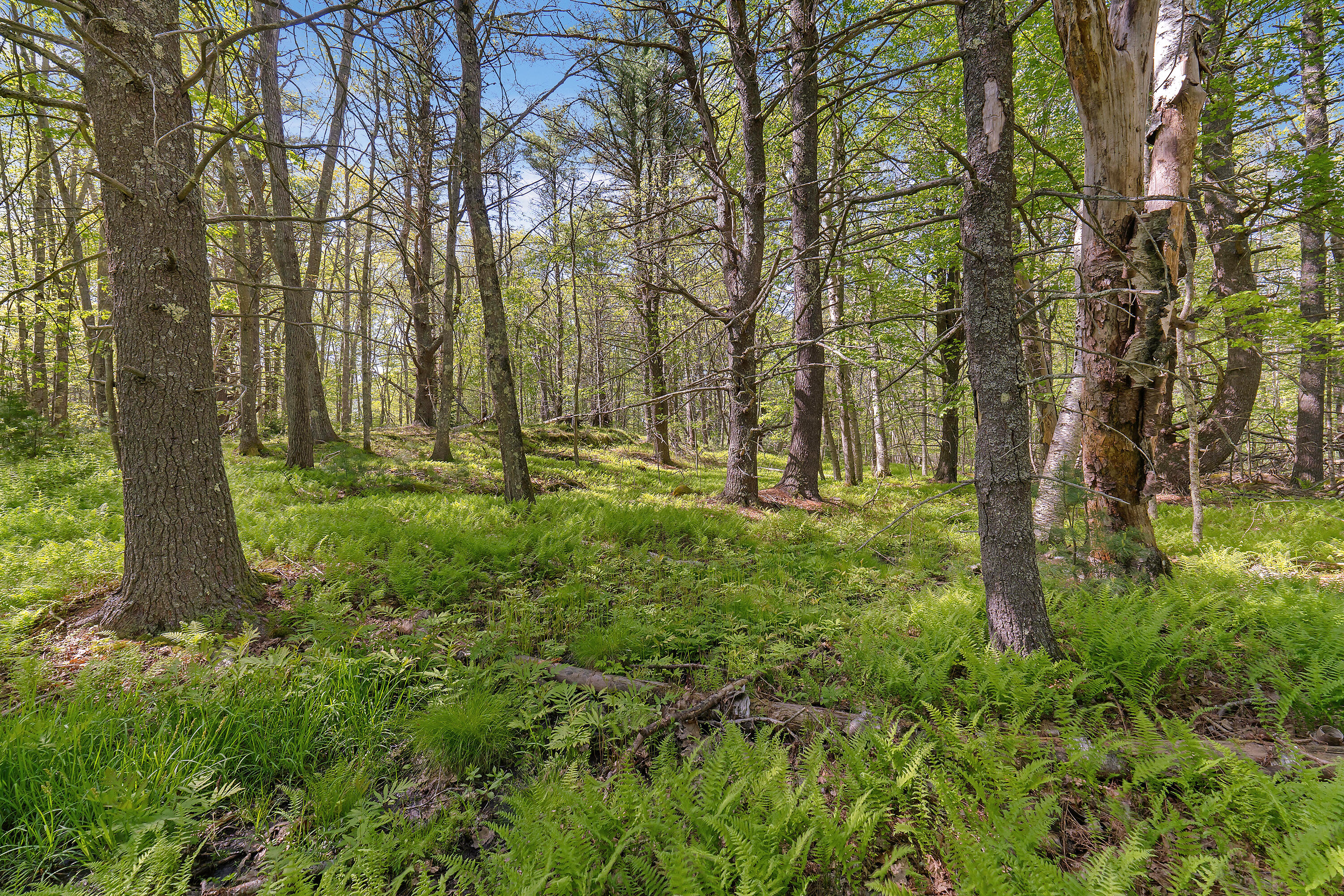17-1 Bald Head Road Bath, ME 04530 - Photo 11 of 23