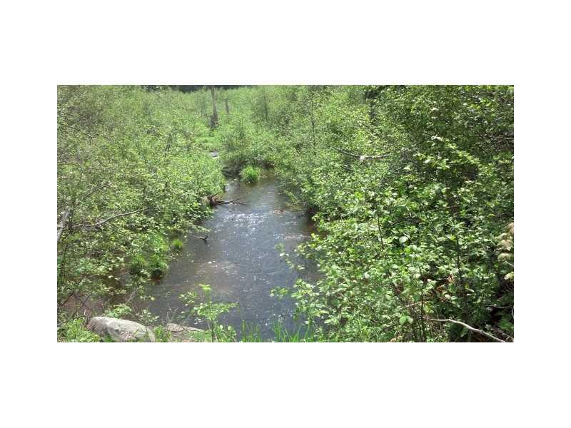 Lot 9 Davis Brook Amity, ME 04471 - Photo 5 of 5 Land/Lot.