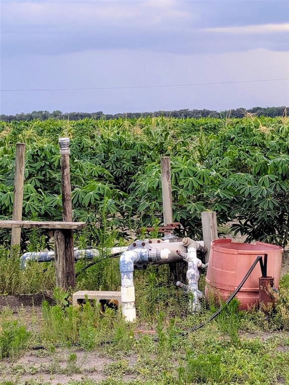 Tom Bryan Road Zolfo Springs, FL 33890 - Photo 5 of 10