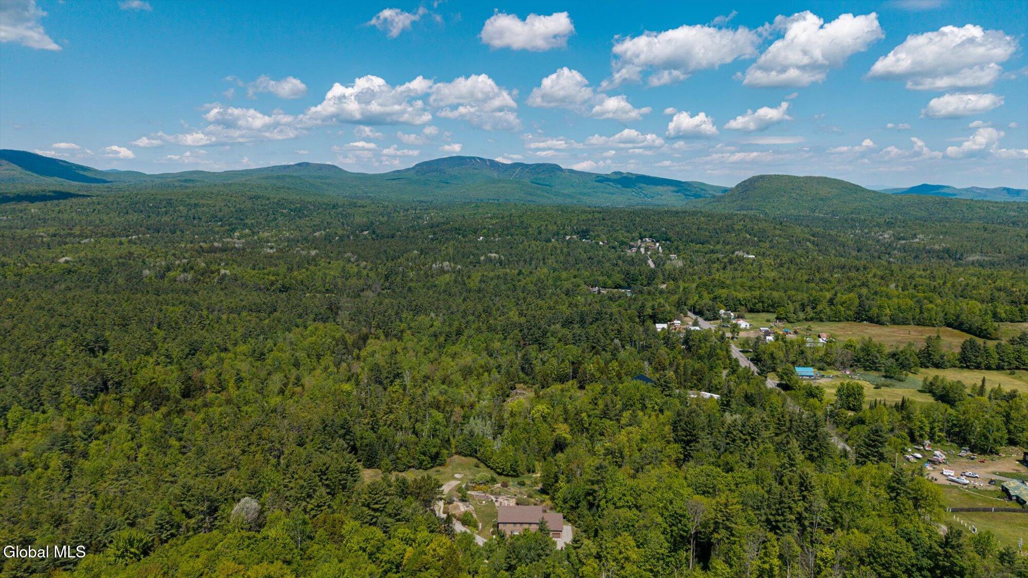 1603 South Johnsburg Road Johnsburg, NY 12843 - Photo 10 of 55 01-ADK-1