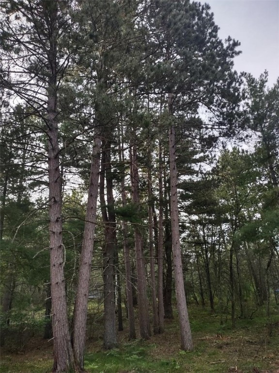 Tbd Tbd Lynx Road Solon Springs, WI 54873 - Photo 1 of 10