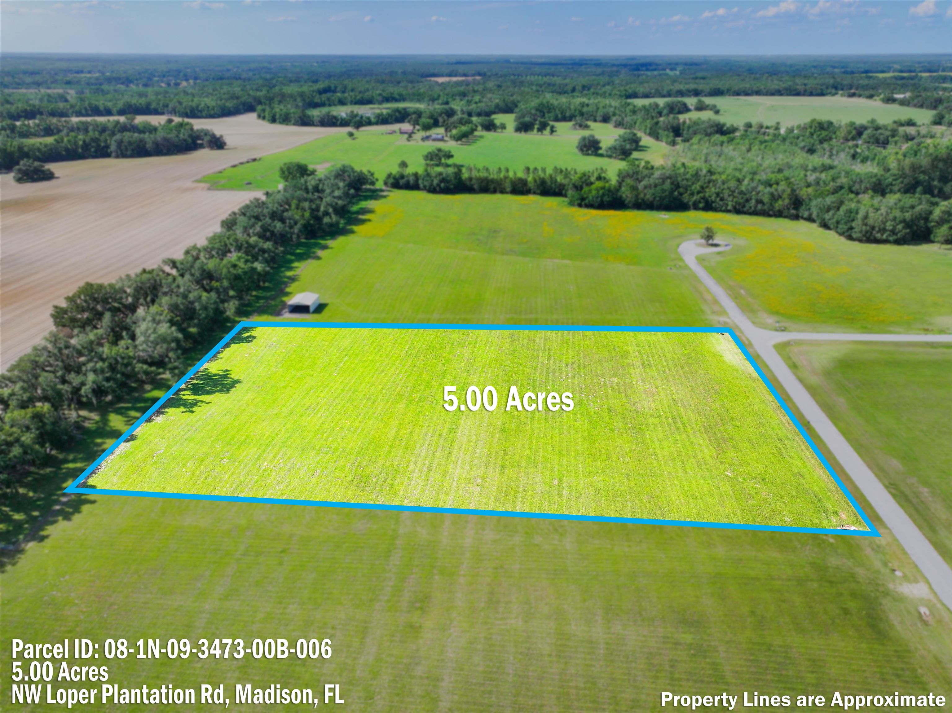 0 Northwest Loper Plantation Road Madison, FL 32340 - Photo 2 of 16