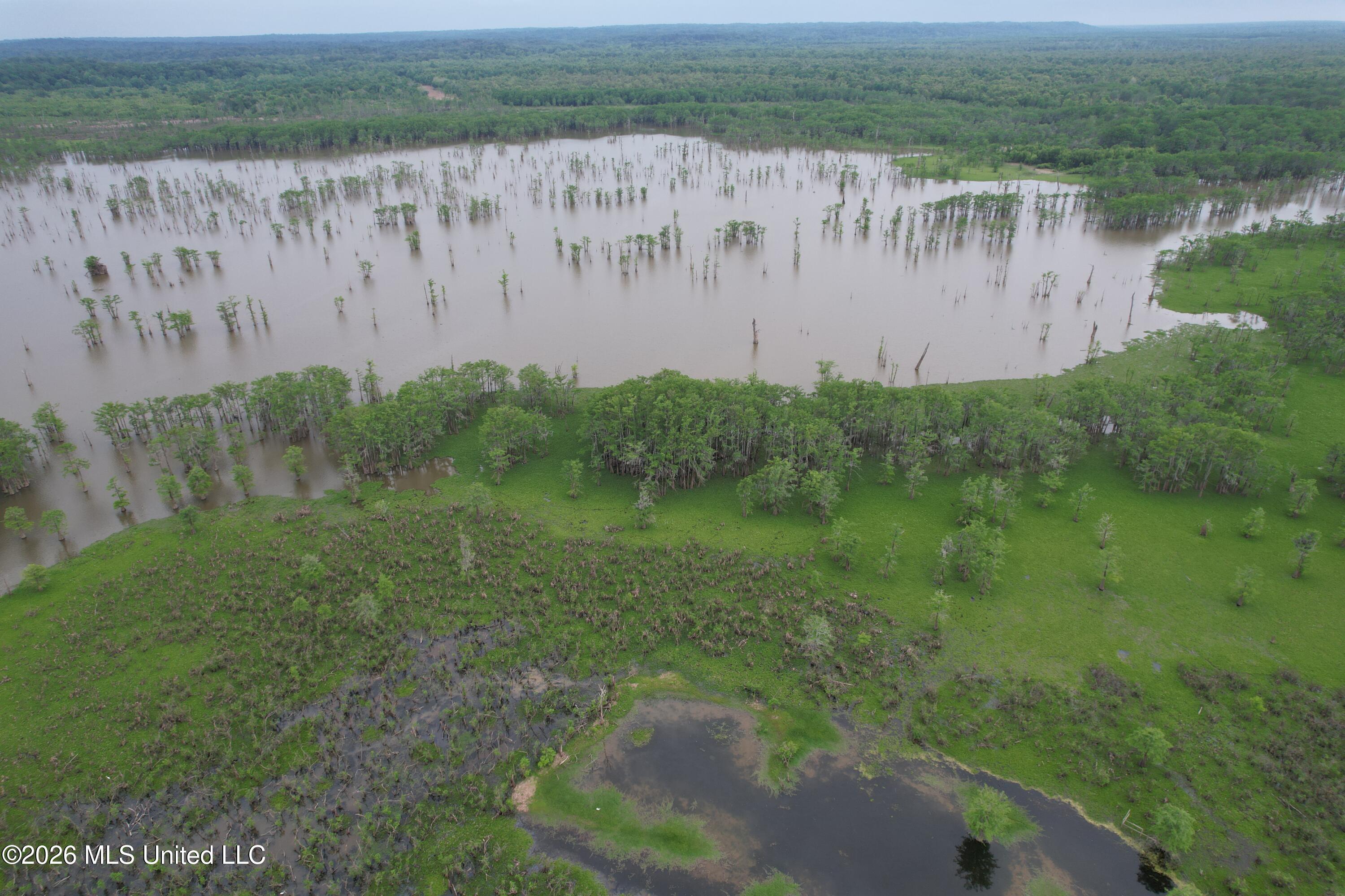 Lake Mary Road Woodville, MS 39669 - Photo 21 of 39 DJI_0984
