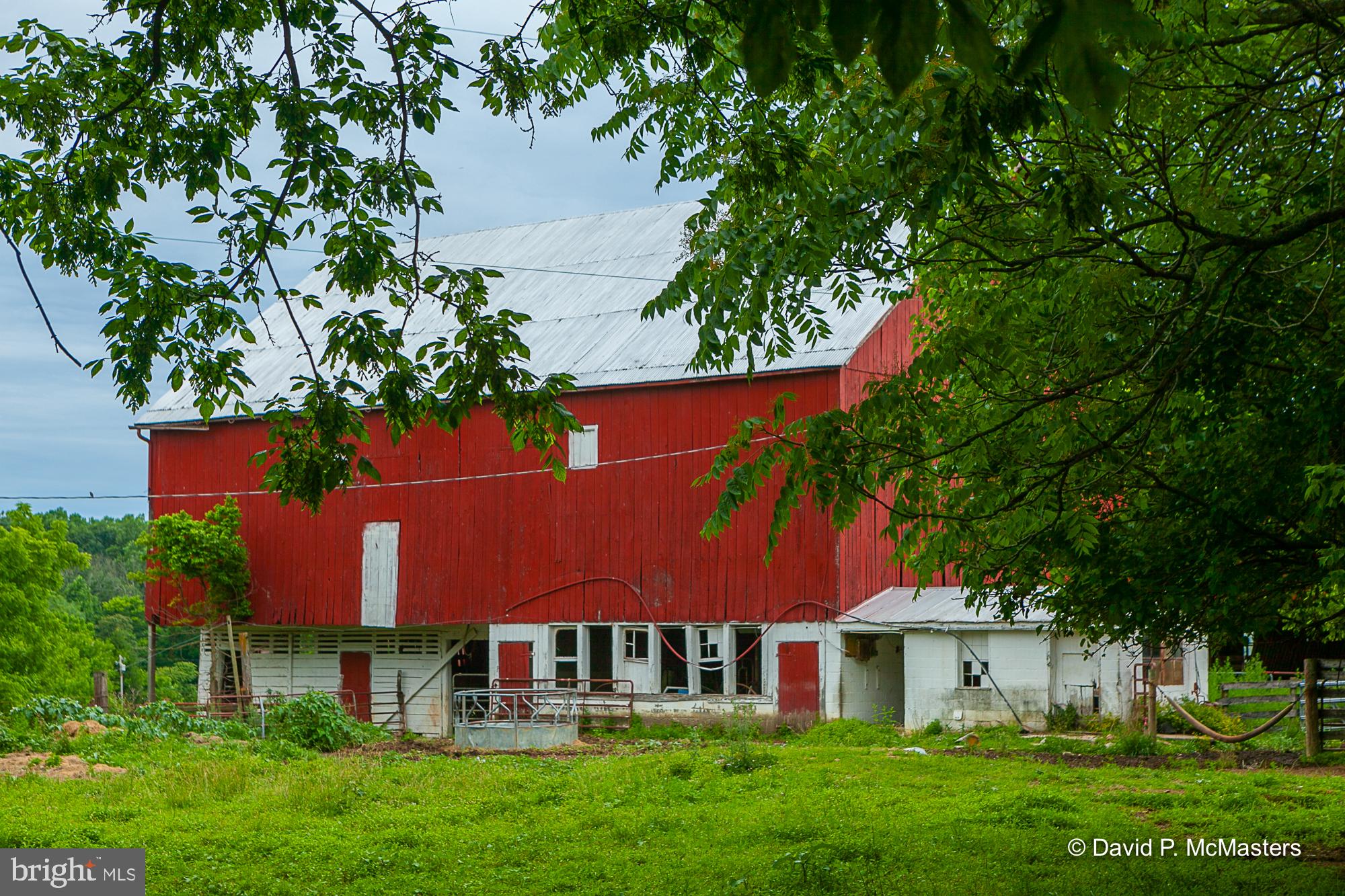 3167 Shepherd Grade Road Shepherdstown, WV 25443 - Photo 23 of 27 Neighboring Farmer has cattle in the fields
