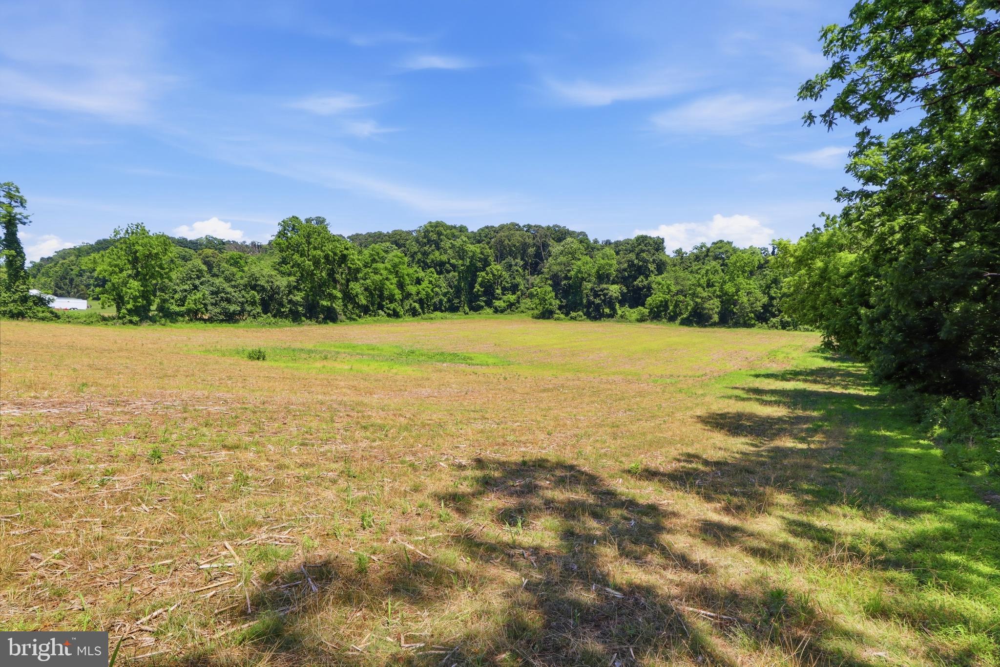 3555 Mill Green Road Street, MD 21154 - Photo 72 of 106