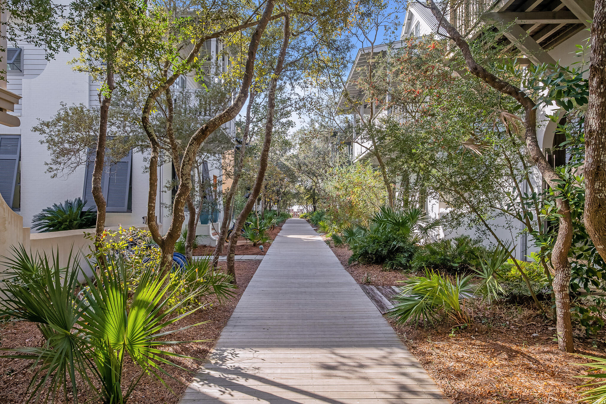 144 Round Rd Inlet Beach Inlet Beach, FL 32461 - Photo 40 of 56 Pathway to the Beach