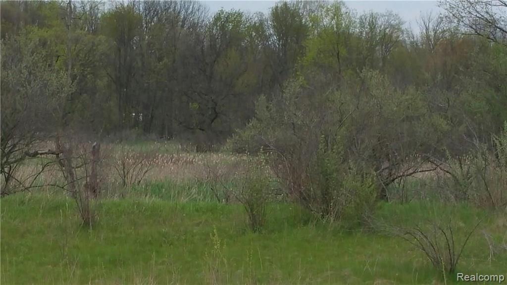 Lot 7 Marsh Ridge Brighton, MI 48114 - Photo 2 of 10