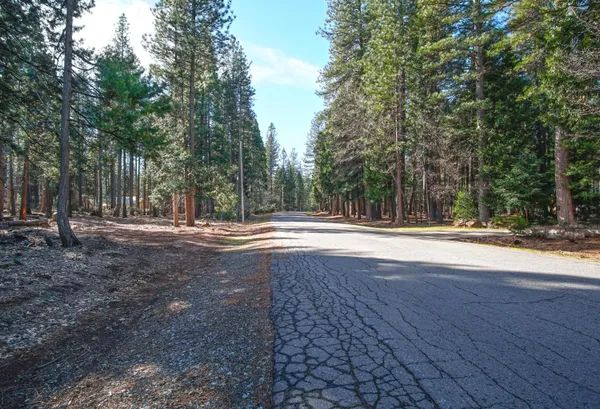 a view of backyard space and tree