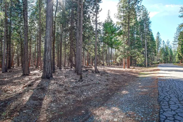a view of outdoor space with trees
