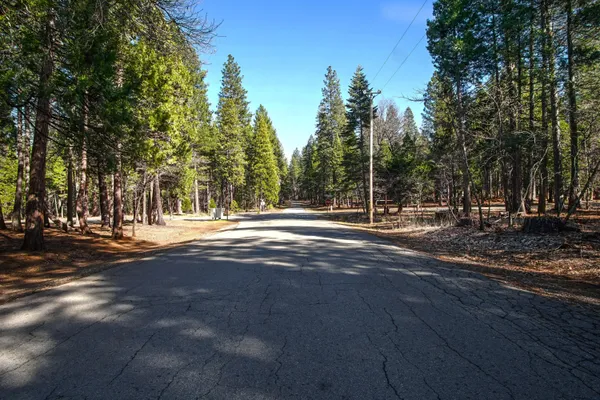 a view of road with trees