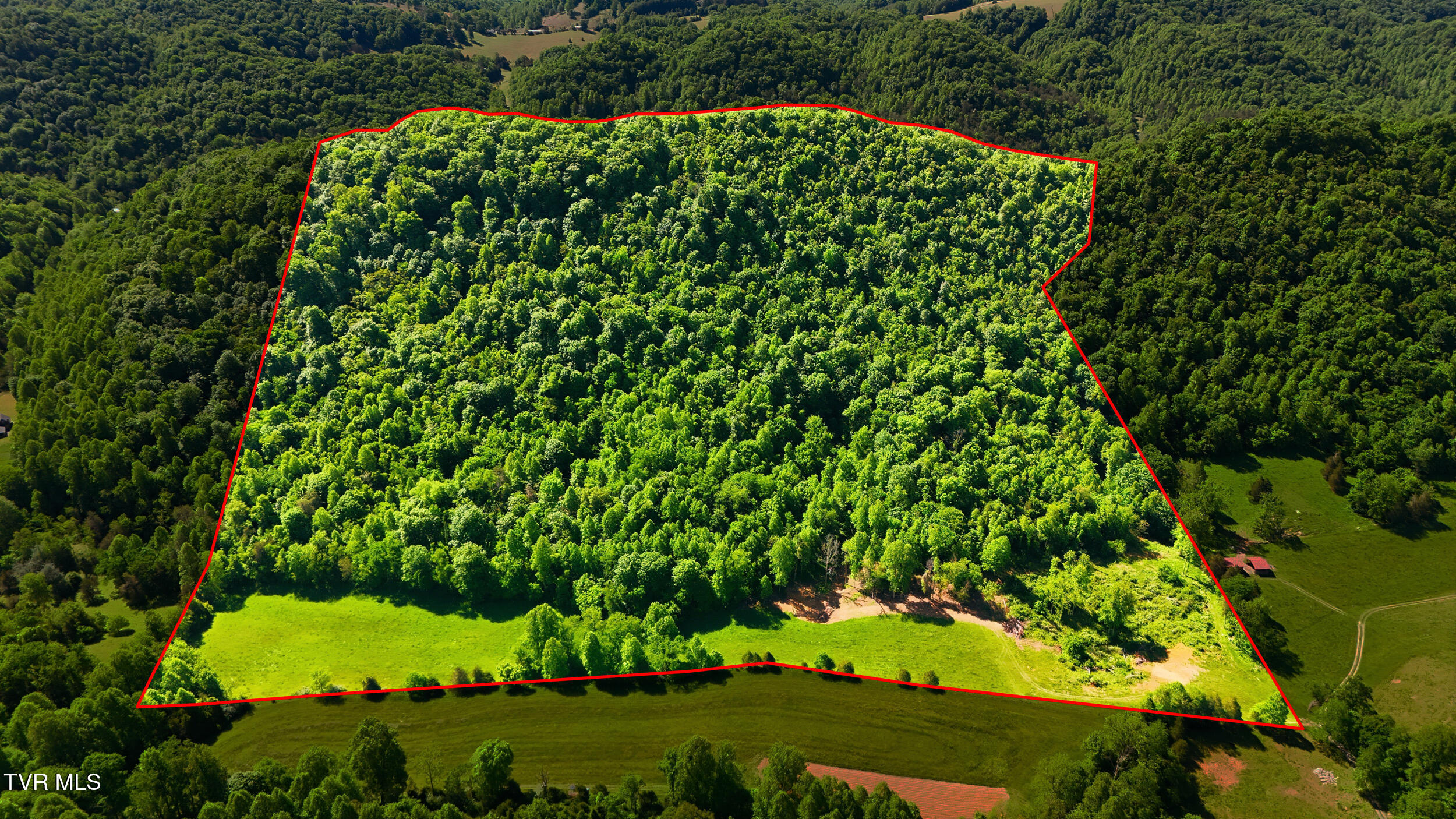 Tba Kingdom Road Duffield, VA 24244 - Photo 4 of 15 dji_20260515104615_0776_d