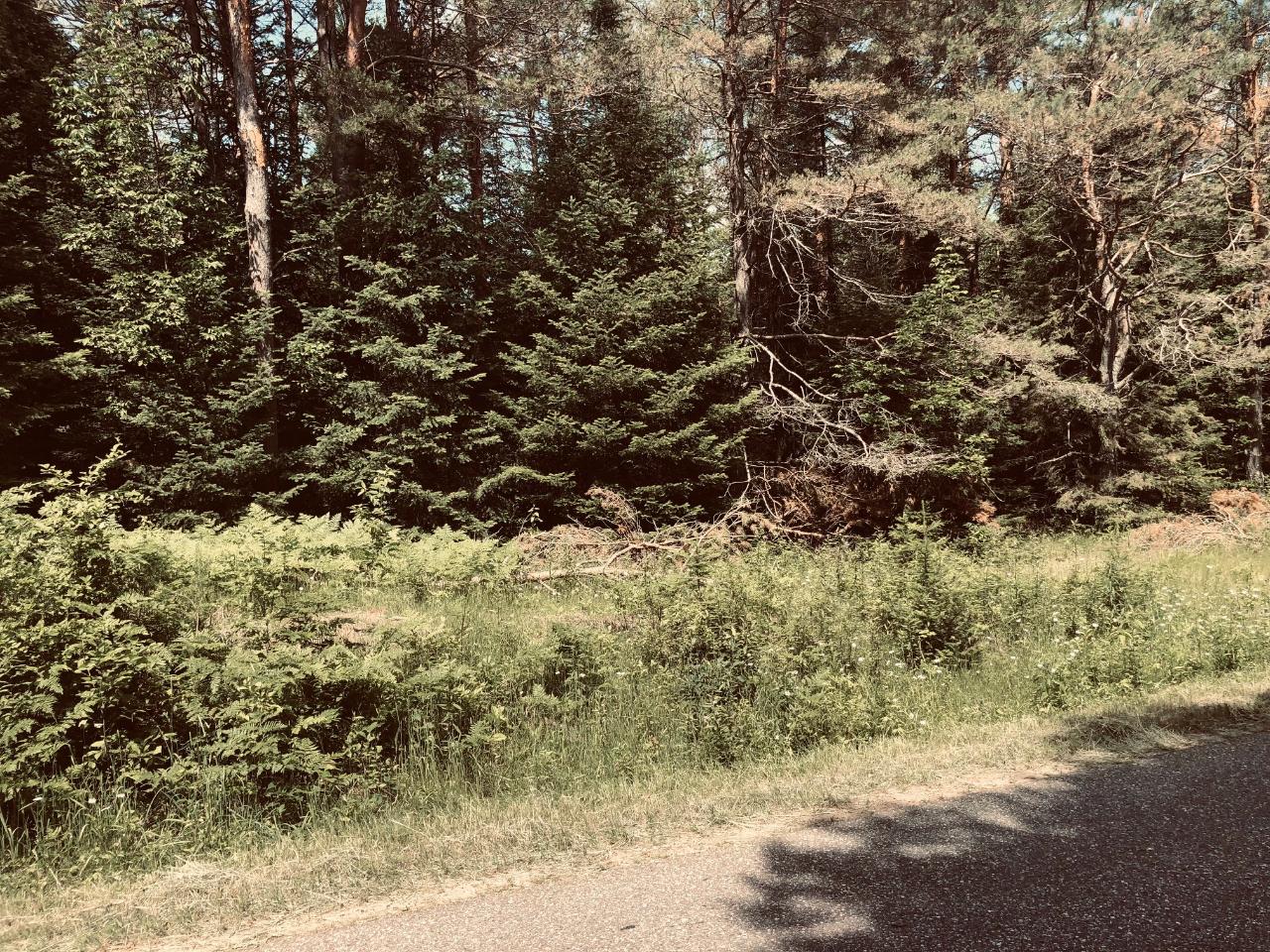 On King Road, Unit LOT 6 Rhinelander, WI 54501 - Photo 2 of 4 Gallery Image 2