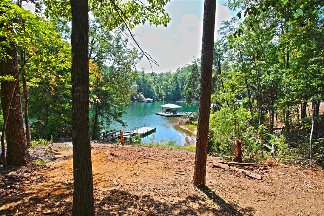 590 Old Chapman Bridge Road Salem, SC 29676 - Photo 27 of 43 Mature trees frame a private lakeside vista complete with a wooden boat dock.