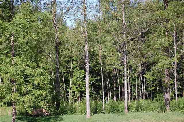 121 Cedar Ridge Lane Cloquet, MN 55720 - Photo 16 of 17 Gallery Image 16
