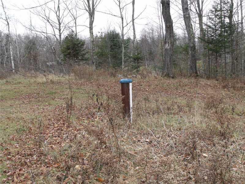 185 East Strong Road New Vineyard, ME 04956 - Photo 13 of 14 Yard/Garden.