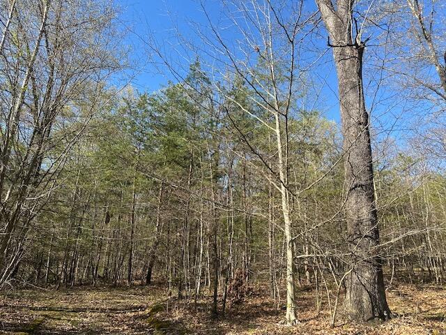 35310 Geiger Road Logan, OH 43138 - Photo 12 of 56 IMG_8842