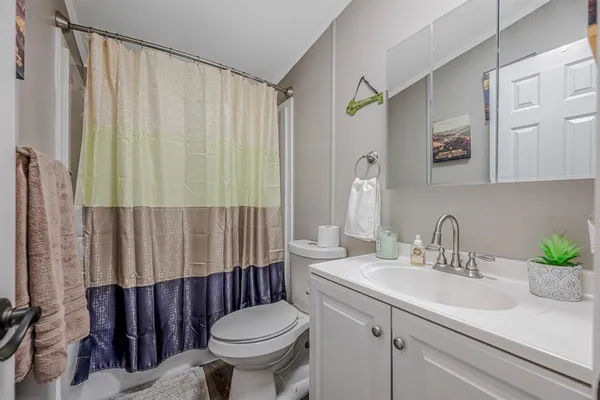 a bathroom with a sink a toilet a mirror and shower curtain