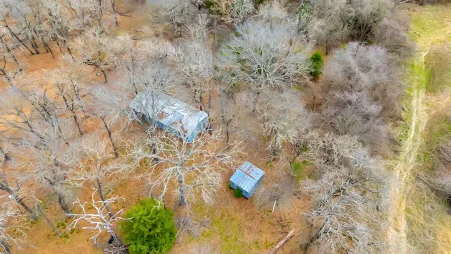 a backyard of apartments with large trees