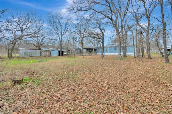 a view of a yard with a tree