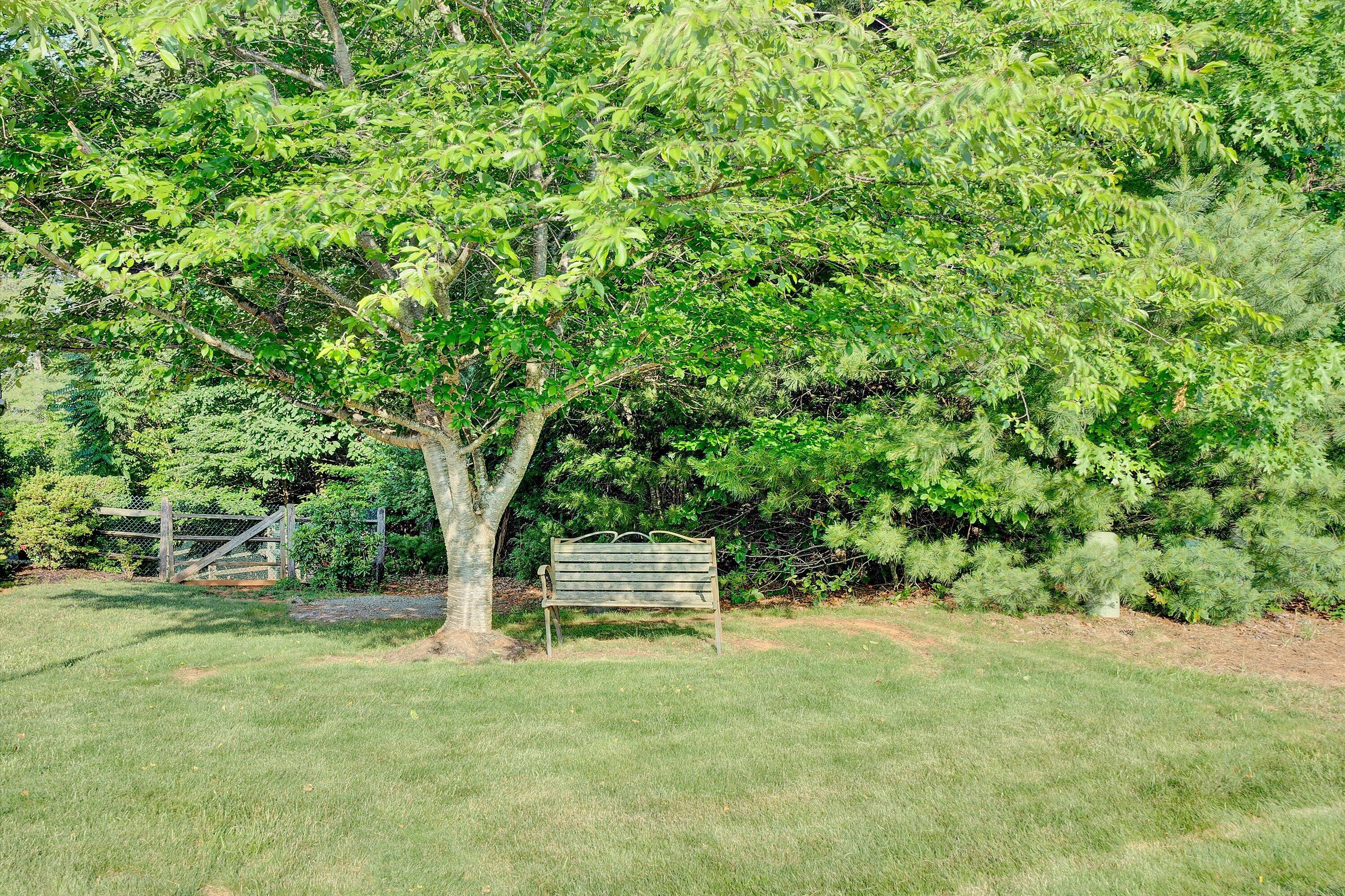 137 Shanleys Loop Ferrum, VA 24088 - Photo 39 of 45 Beautiful Yard