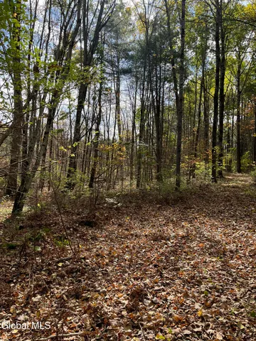 $149,000 | L5.2 Warner Road, Granville, NY 12832