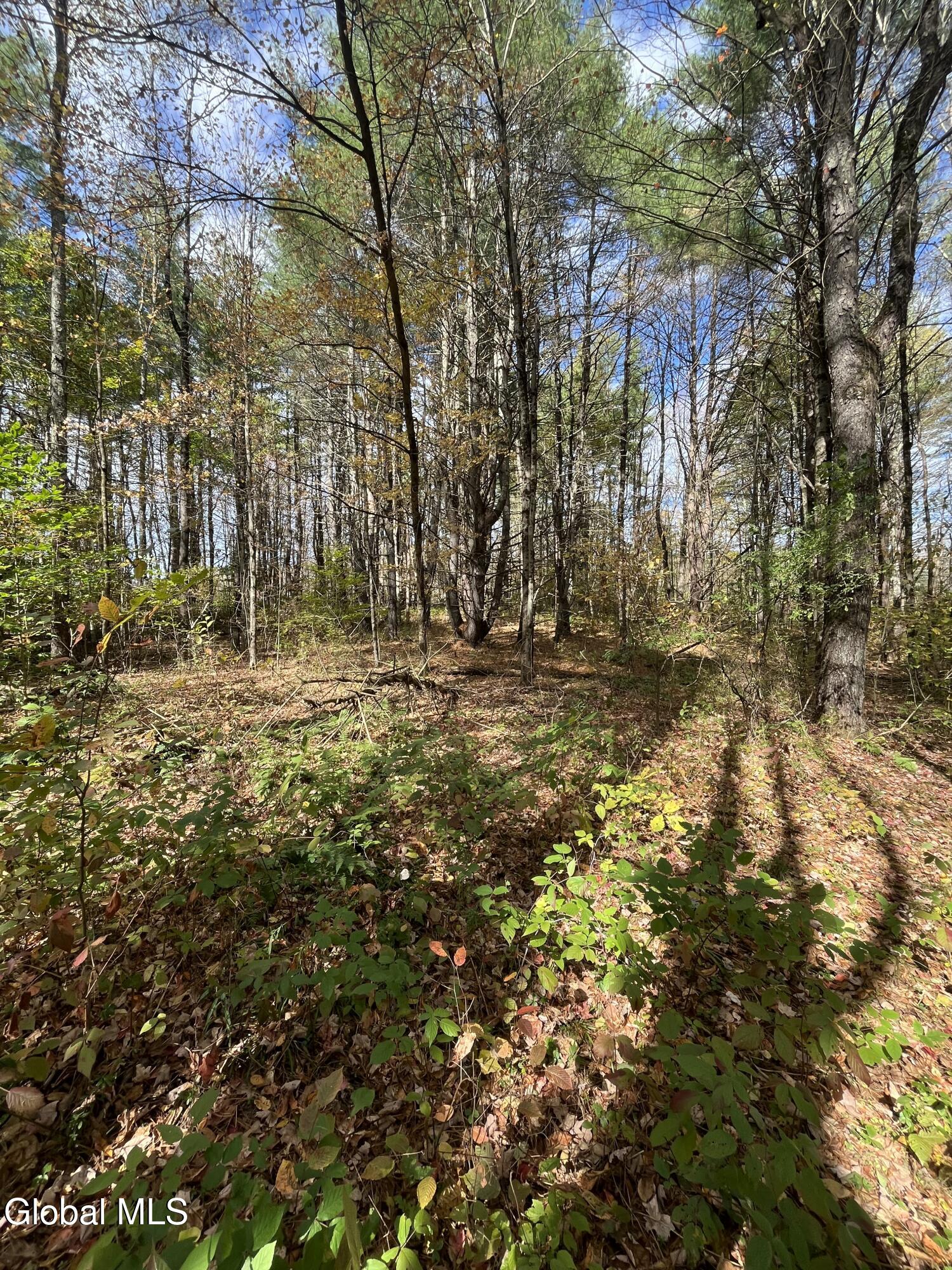 L5.2 Warner Road Granville, NY 12832 - Photo 12 of 20 IMG_9371