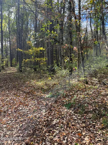 $149,000 | L5.2 Warner Road, Granville, NY 12832