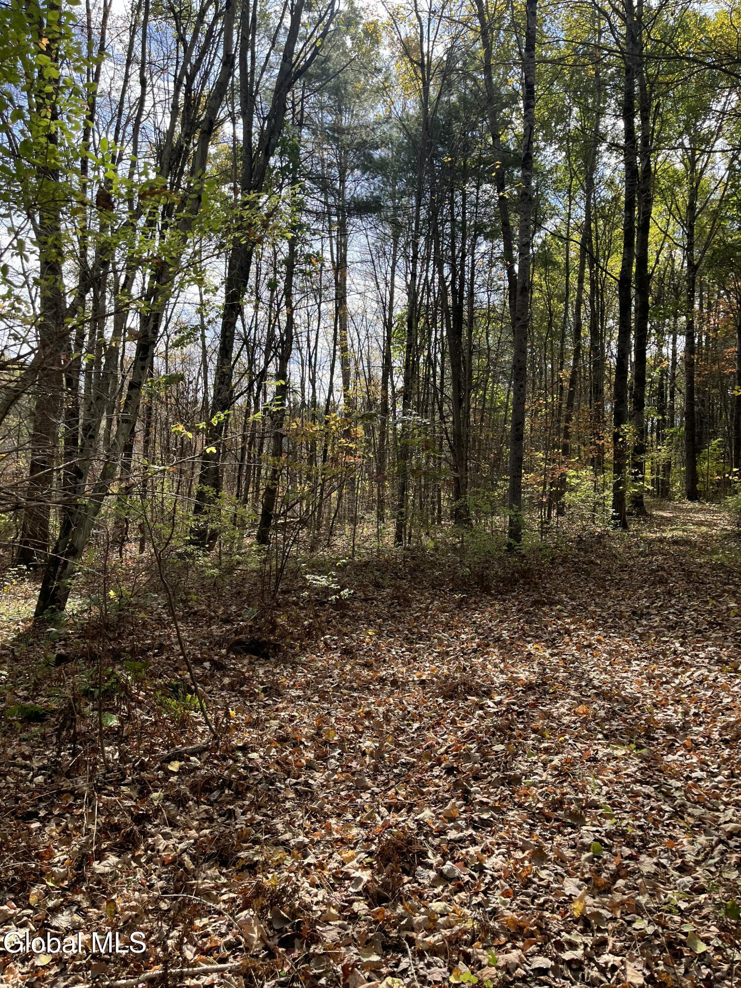 L5.2 Warner Road Granville, NY 12832 - Photo 13 of 20 IMG_9361