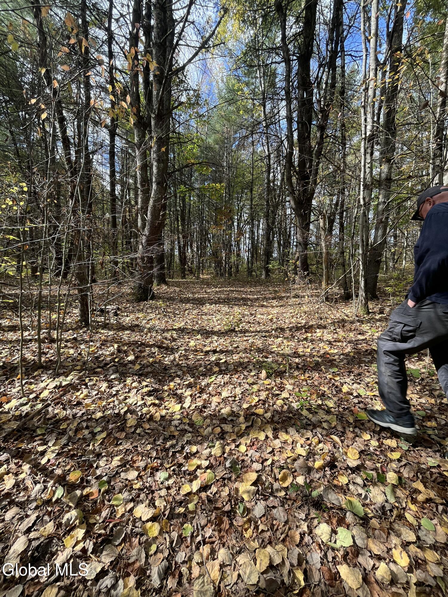 L5.2 Warner Road Granville, NY 12832 - Photo 15 of 20 IMG_9365